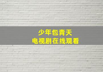 少年包青天 电视剧在线观看